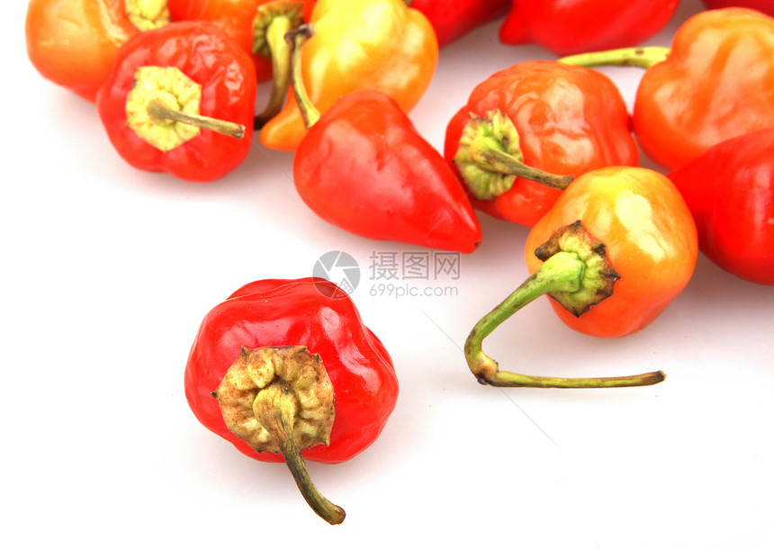红辣椒绳索床单红色美食植物胡椒有机食品香料蔬菜绿色图片