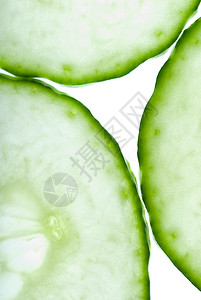黄瓜结闭绿色食物背光团体白色沙拉植物蔬菜圆圈宏观背景图片