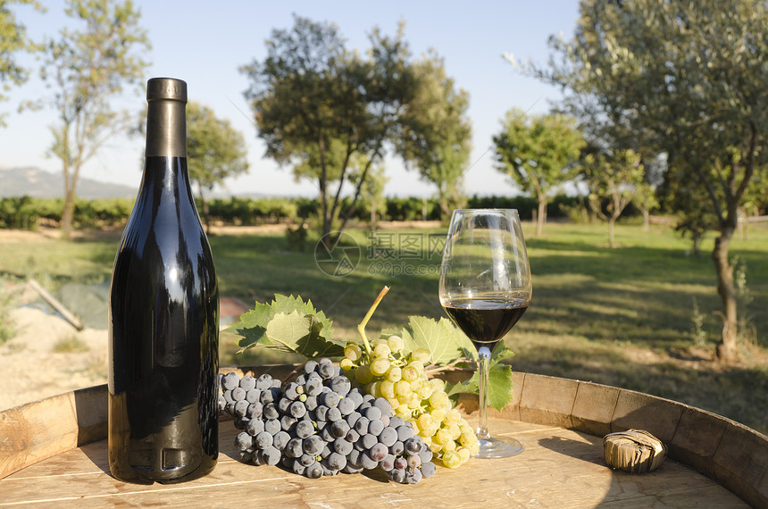 葡萄和葡萄农业红色瓶子玻璃闲暇品酒酒精葡萄干酿酒水果图片