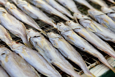 咸盐鱼烹饪海鲜食品海洋食物咸鱼盐渍野生动物背景图片