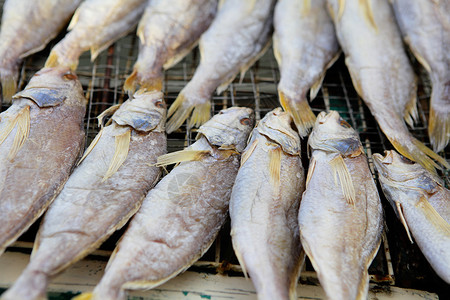 咸盐鱼野生动物烹饪咸鱼食物盐渍海洋海鲜食品背景图片