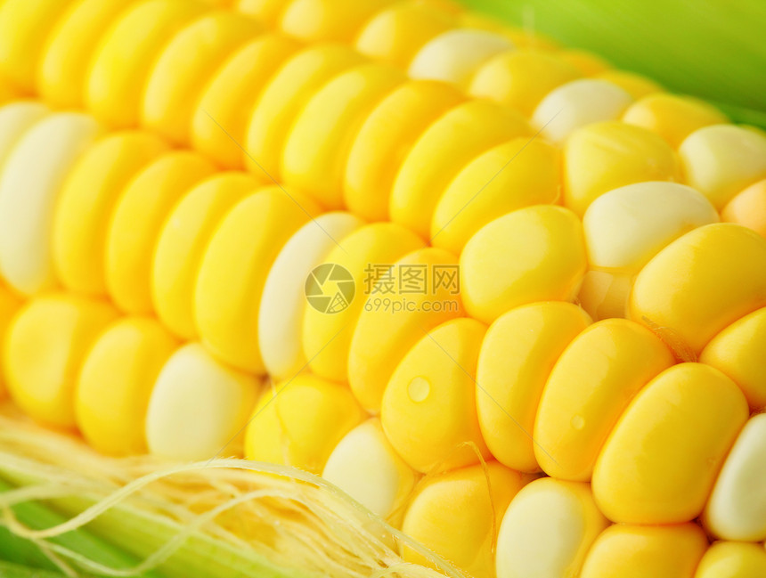 玉米角食品纤维生活营养食物蔬菜生产玉米芯农场饮食图片