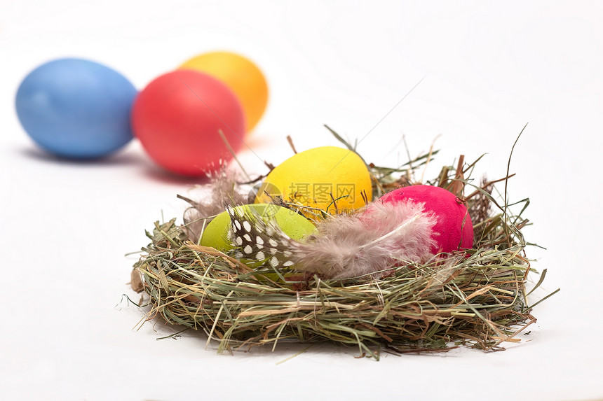 巢中的复活节鸡蛋黄色盘子羽毛蓝色稻草红色免费绿色彩蛋图片
