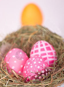 巢中的复活节鸡蛋盘子黄色红色绿色彩蛋羽毛稻草免费蓝色背景图片