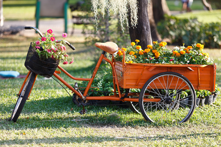 脚踏车上美丽的花花束图片