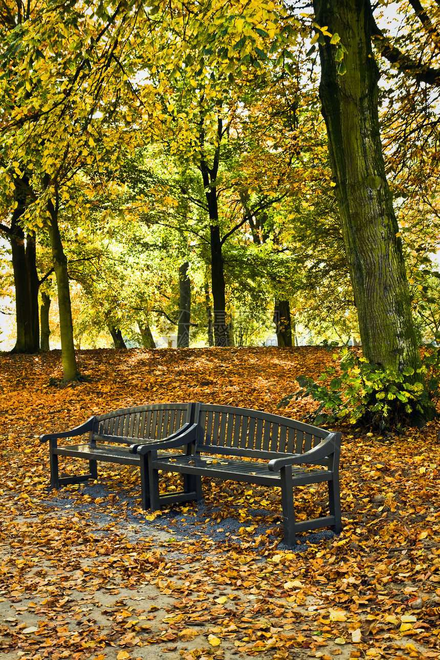 秋天在公园的座席背光金子阳光棕色回收黄色叶子生态长椅红色图片