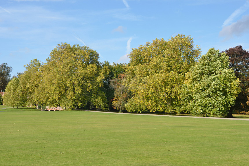 英语国家区太阳生态团体季节树木植物群土地林地风景公园图片