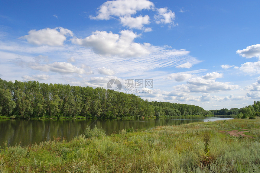 夏季风景公园季节场地旅行叶子木头森林池塘阳光草地图片
