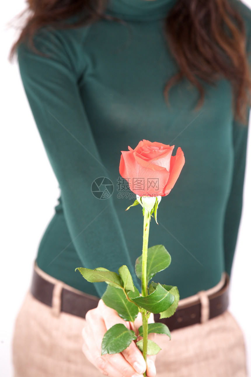 提供红玫瑰的绿绿色毛衣妇女图片