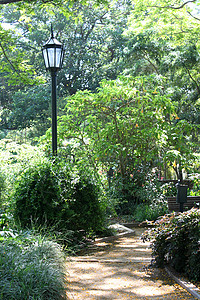 爱丽丝·凯克公园纪念花园背景图片