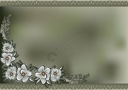 花层背景框架生长丝绸叶子电脑墙纸背景图片