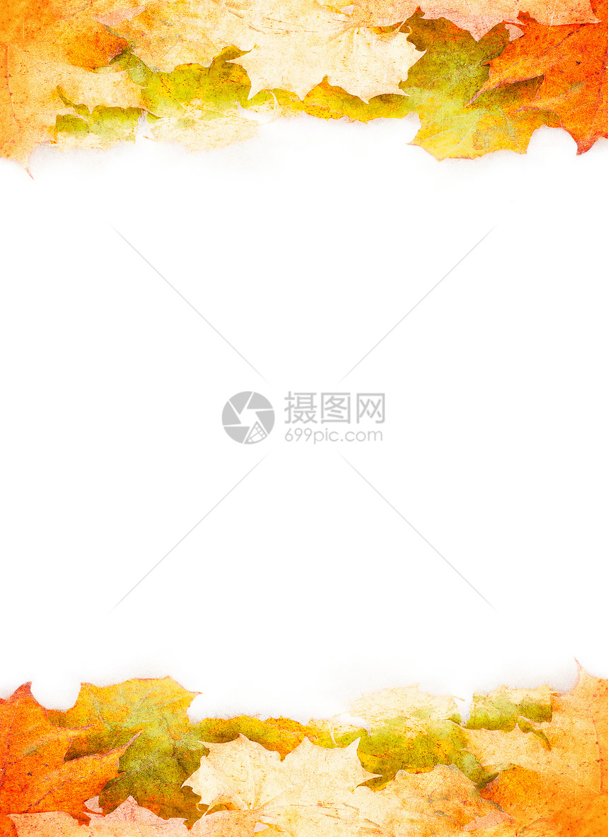 秋秋假框架季节金子风格卡片绿色装饰白色叶子水平树叶图片