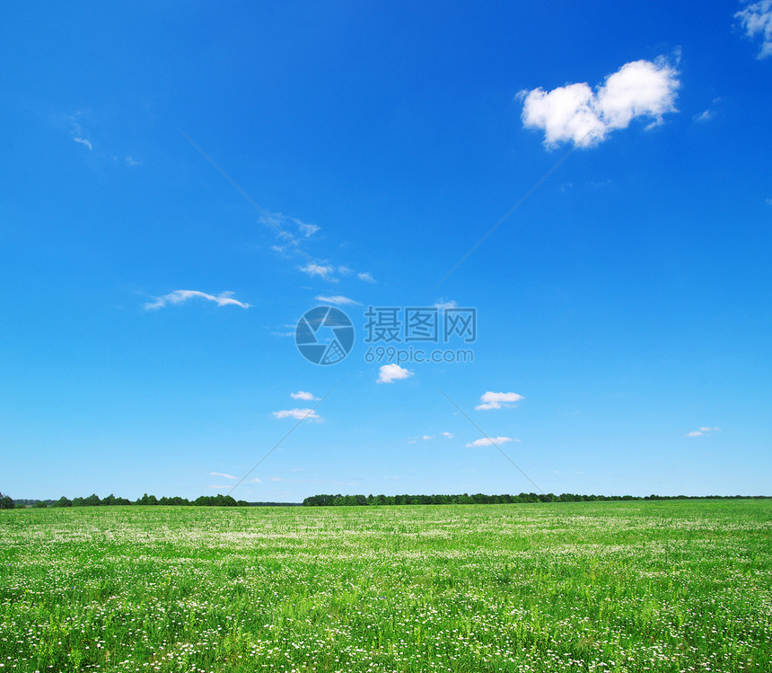 绿绿地草地蓝色场景生长植物农村天气天空阳光农场图片