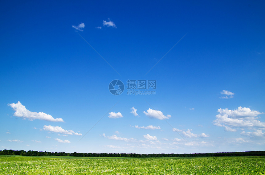 字段阳光植物土地农场天空草地乡村远景风景地平线图片