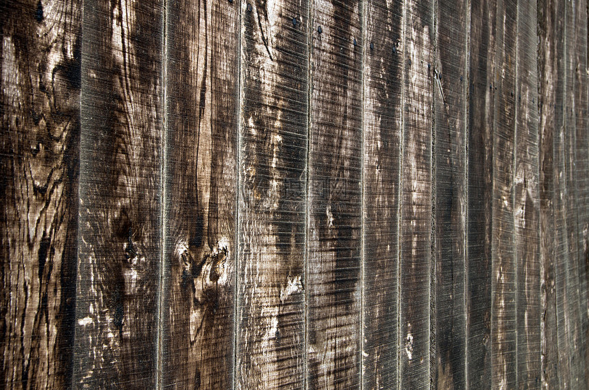 树木背景背景材料控制板棕色宏观桌子木地板风格木材木头硬木图片