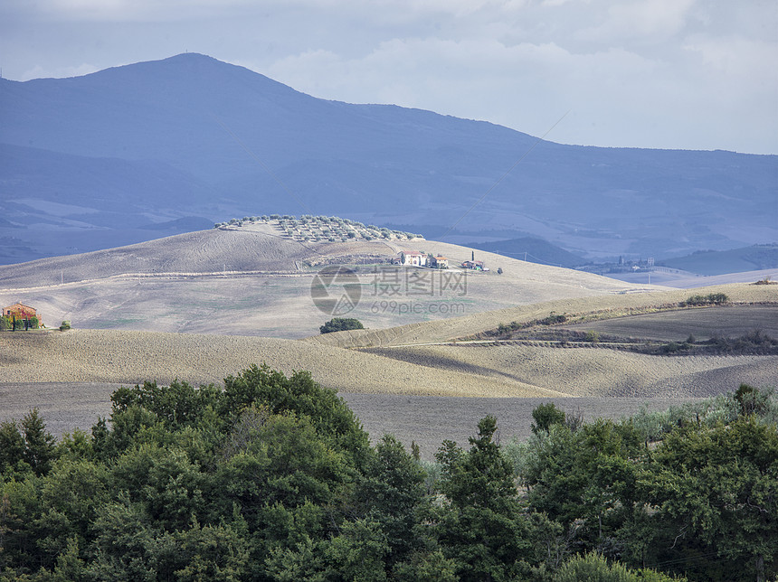 在 Tuscany 中的字段的远视图片
