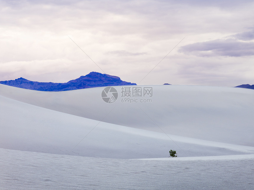 孤立树旅行沙漠荒地蓝色风景盆地场景纹理假期名胜图片