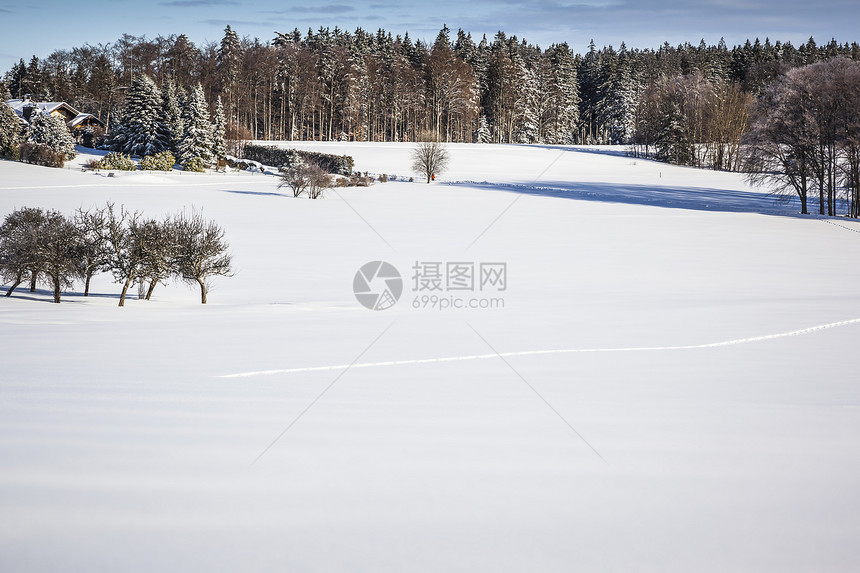 冬季风景农村全景天空寒意场地墙纸降雪森林天气场景图片