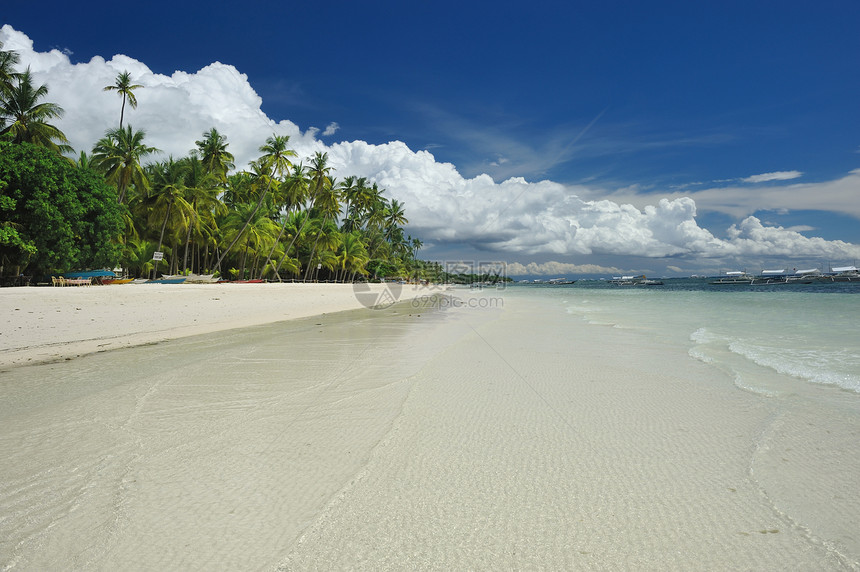 美丽的海滩天空蓝色棕榈热带海浪旅行荒野地平线边缘海洋图片