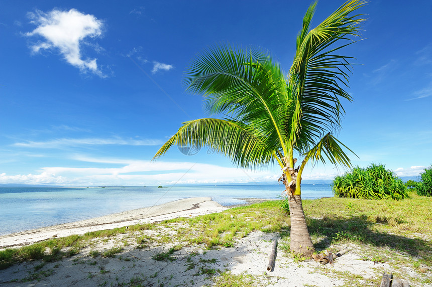 美丽的海滩海岸线棕榈天空蓝色地平线风景边缘处女热带海浪图片