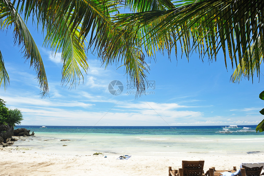 美丽的海滩海浪蓝色边缘棕榈风景海景海洋海岸线地平线热带图片