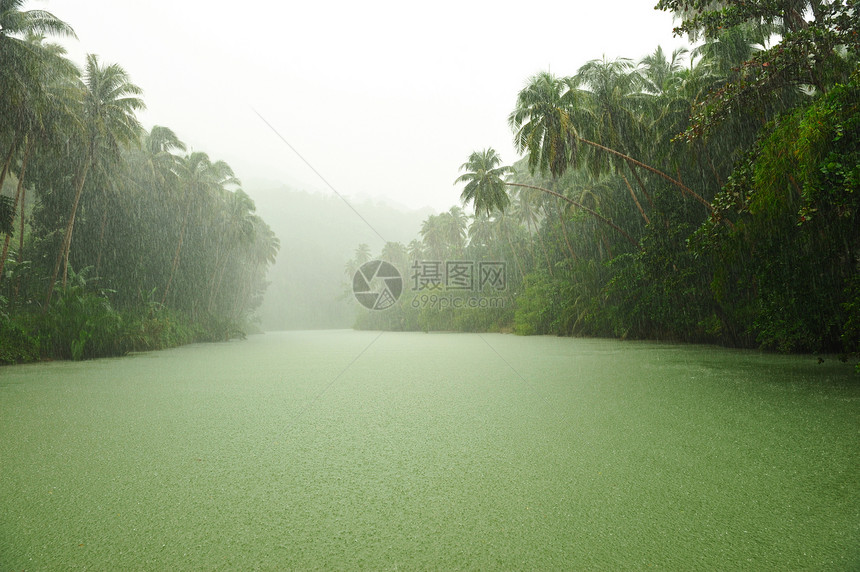 河流上方热带雨风景叶子森林溪流气候绿色环境热带雨林树木图片