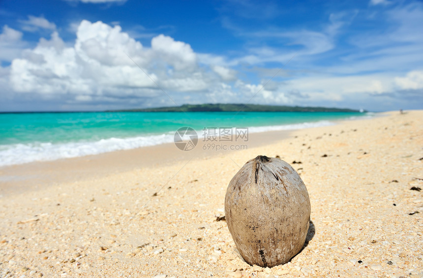 美丽的海滩边缘海浪海洋荒野椰子假期海景旅行处女风景图片