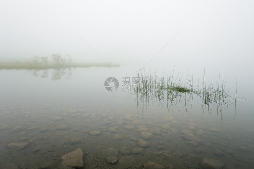 Ercina湖 拉各斯德科瓦东加 阿斯图里亚斯 西班牙海胆心草岩石校长图片