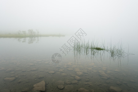 图兹湖Ercina湖 拉各斯德科瓦东加 阿斯图里亚斯 西班牙海胆心草岩石校长背景