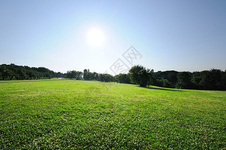 上午风景天空绿色阳光太阳场景乡村日出阴影草地背景图片