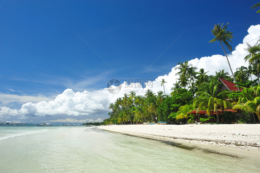 美丽的海滩假期边缘风景海洋旅行热带海浪棕榈蓝色海景图片