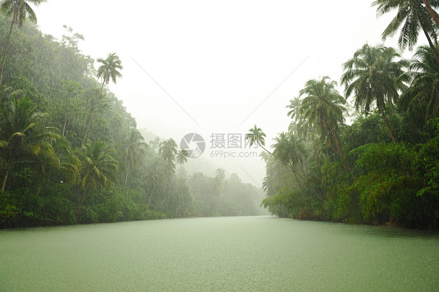 河流上方热带雨叶子溪流绿色热带场景雨林环境风景树木气候图片