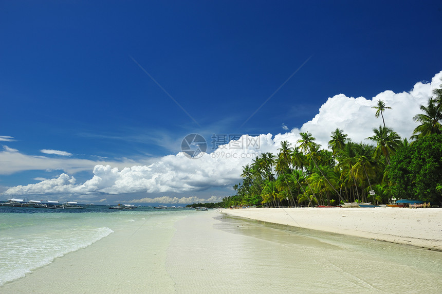 美丽的海滩旅行边缘假期海浪风景蓝色热带棕榈海景荒野图片