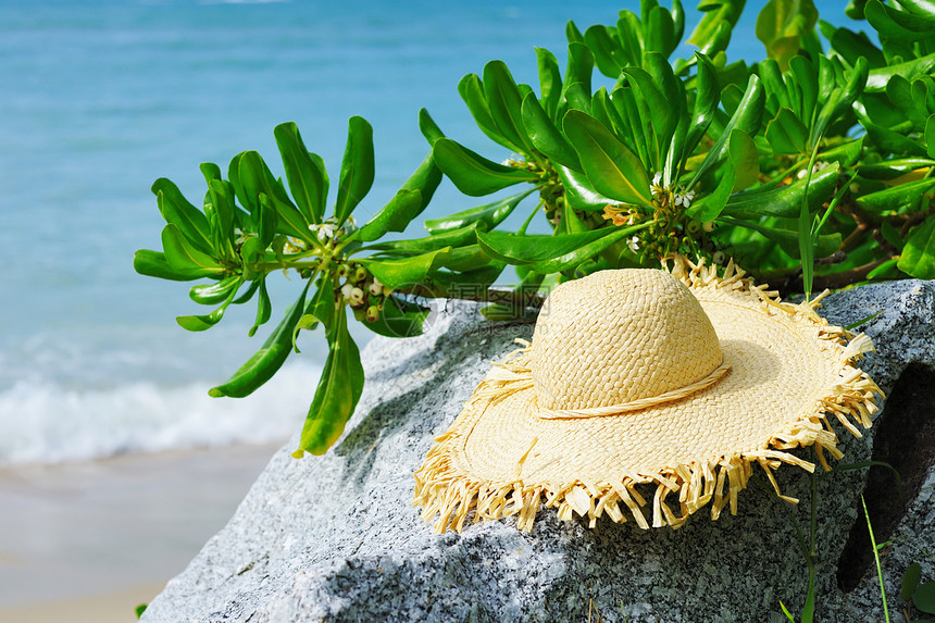 沙滩上的帽子旅行海岸线太阳帽黄色风景草地棕榈热带假期游客图片