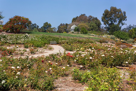 南海岸植物园花园外景婚礼植物目的地凉亭旅游花朵种植高清图片
