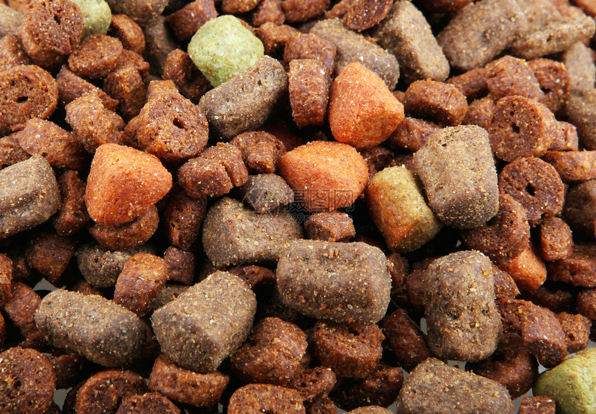 干狗食品白色饮食养分动物噼啪猫科宠物棕色食物小狗图片
