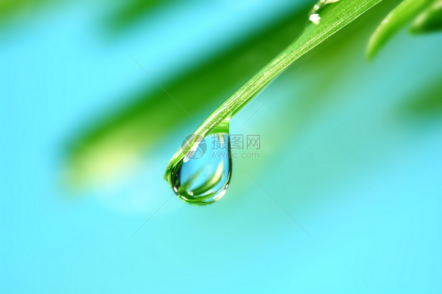 大水滴叶子草地刀刃雨滴花园草本植物反射背景气候生长图片