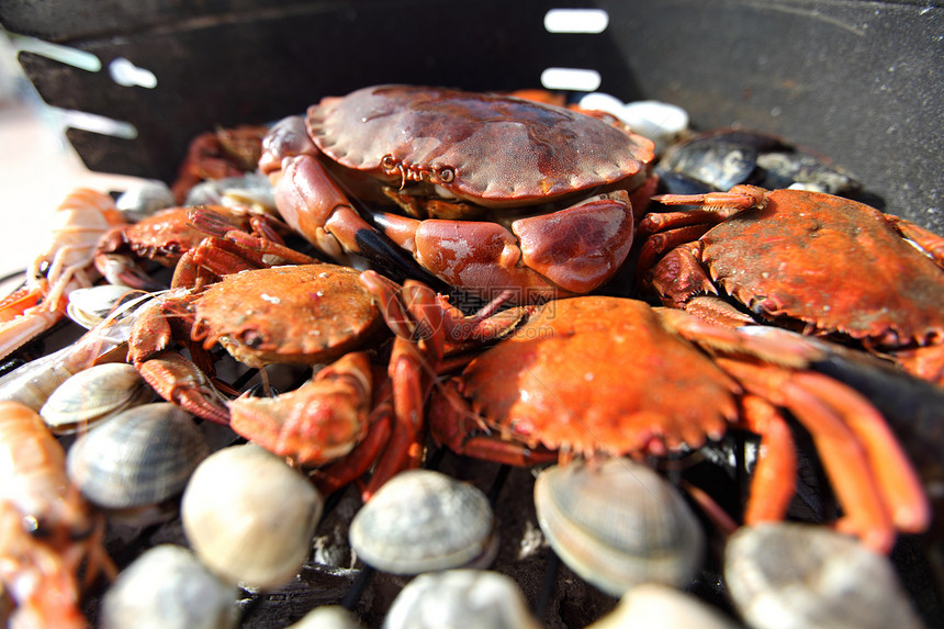 烧烤木炭的螃蟹虾龙虾午餐煤炭火焰柠檬海鲜贝类餐厅桌子假期图片