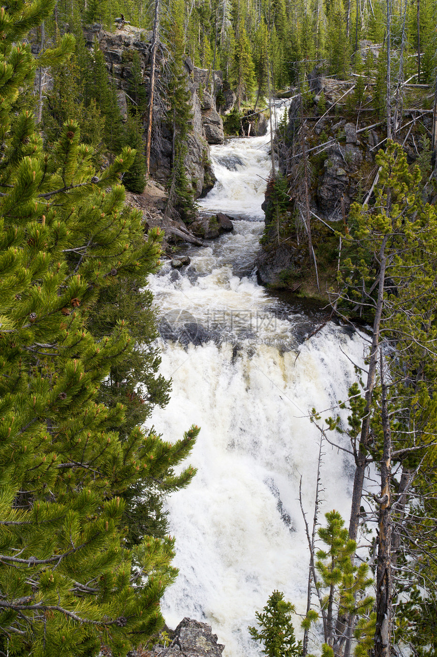 美国怀俄明黄岩国家公园瀑布流动峡谷溪流森林急流图片