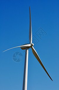 风风涡轮风力场地技术绿色资源涡轮机科技风车树木背景图片