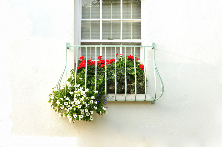 音调窗口牵牛花红色框架白色房子乡村窗户窗帘玻璃图片