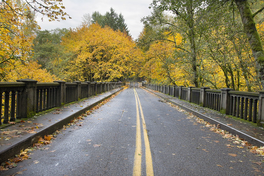 历史哥伦比亚省公路桥沿线的秋树图片