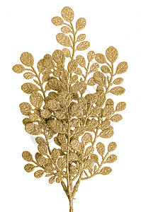 圣诞节装饰金色树叶棕榈宏观闪光白色奢华装潢黄色装饰品叶子背景图片