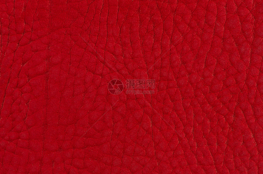 红皮配饰质量墙纸材料织物鳄鱼晒黑标签行李纺织品图片