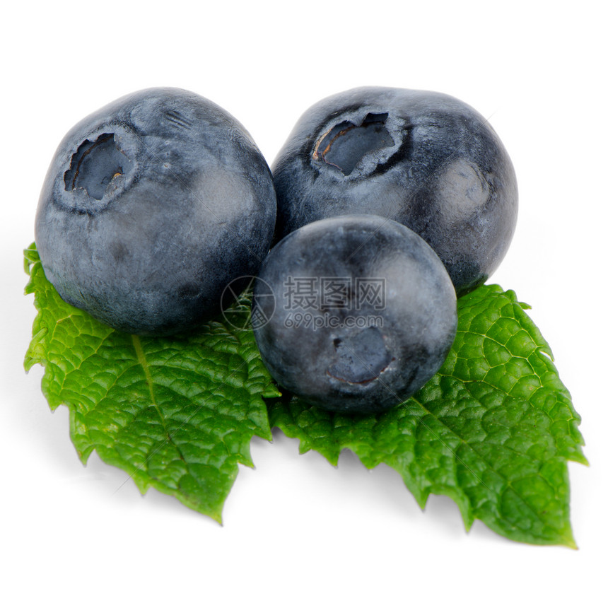 Ripe 蓝莓植物学香料浆果草本药品叶子果汁草本植物健康白色图片
