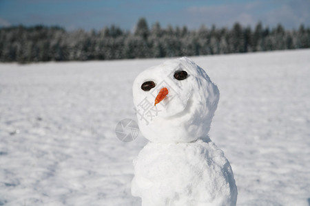 雪人天空白色童年乐趣旅行男人蓝色季节性冬景太阳背景图片