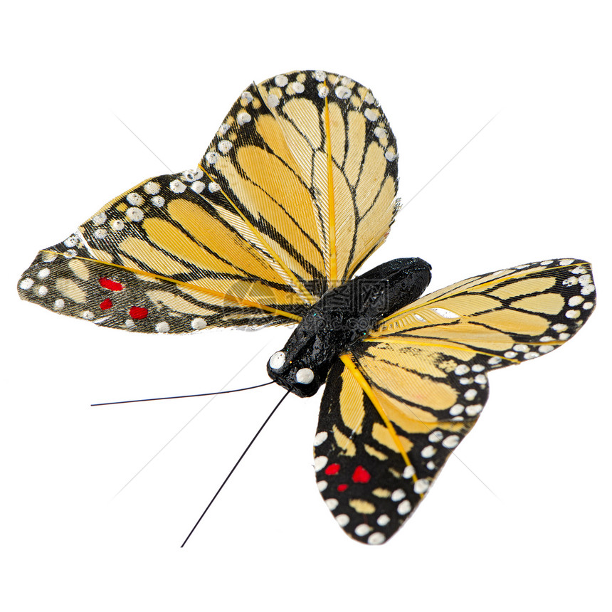人工蝴蝶白色昆虫宏观天线翅膀工艺黄色花园生物学收藏图片