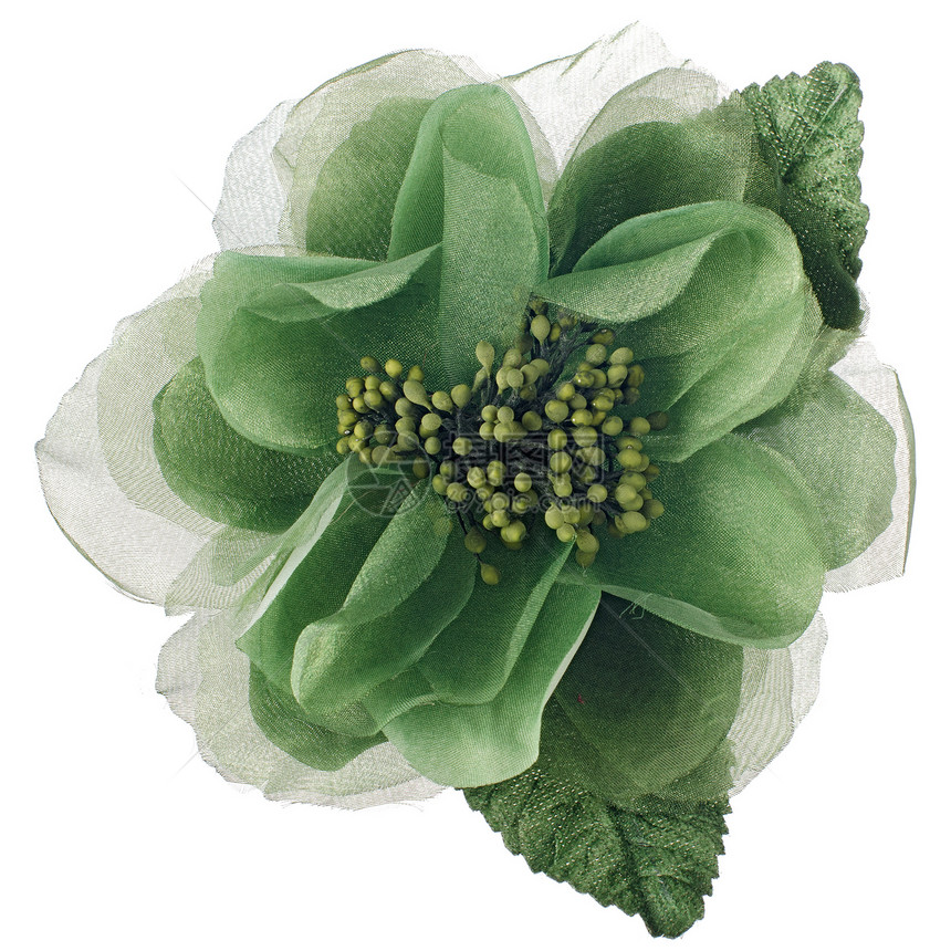 绿色织花花材料丝绸风格装饰织物宏观热情白色刺绣数字图片