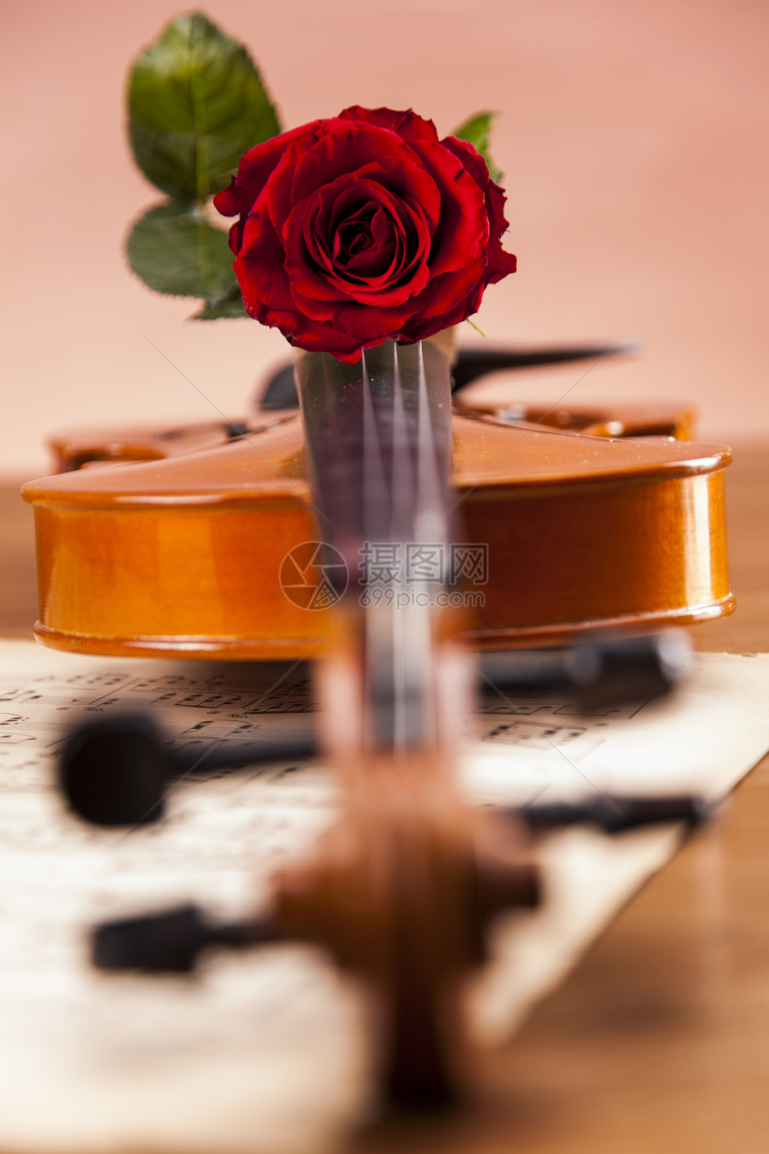 美丽的玫瑰和小提琴细绳旋律棕色红色音乐黑色中提琴笔记木头礼物图片
