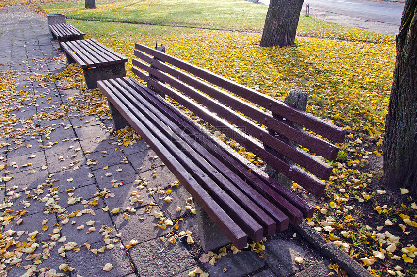 秋季公园的长椅组图片